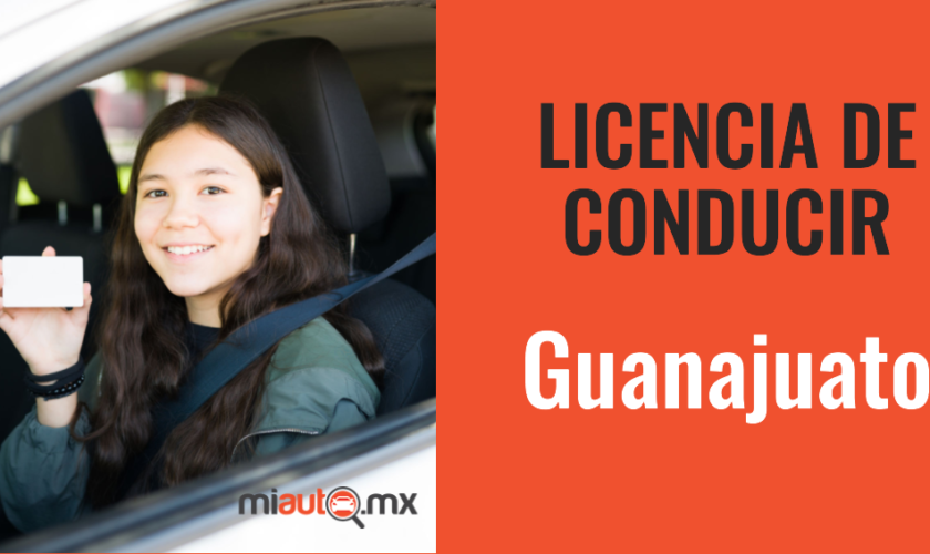 Licencia De Conducir En Guanajuato