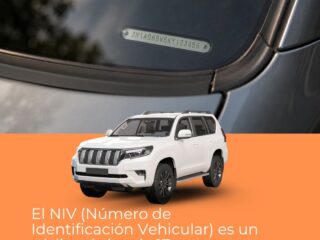 ¿Qué es el NIV de u ...