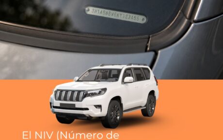 ¿Qué es el NIV de un auto y para qué sirve?