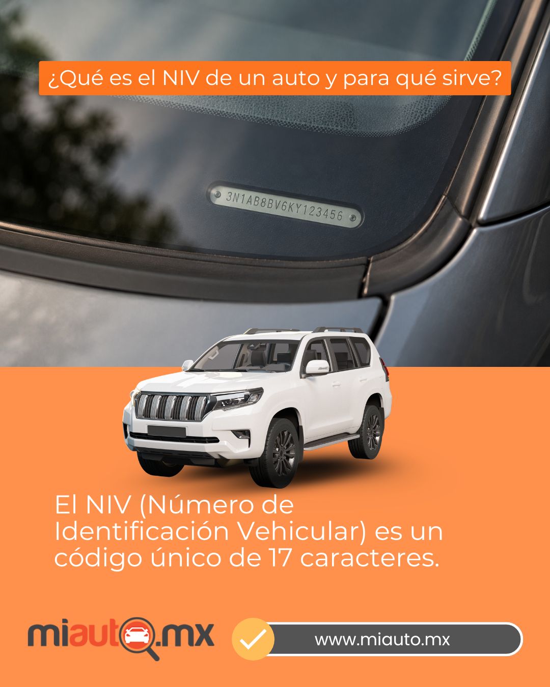 ¿Qué es el NIV de un auto y para qué sirve?